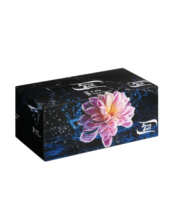 Pillow Soft Facial Tissue 2Ply