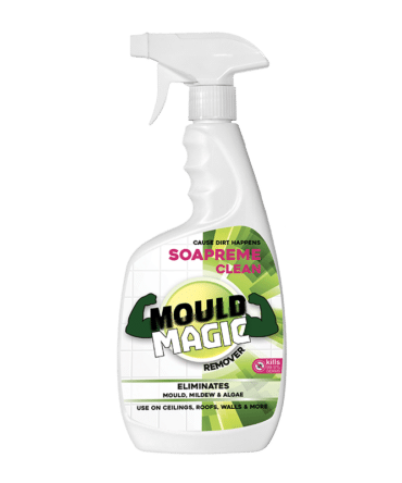 Mould Magic Remover